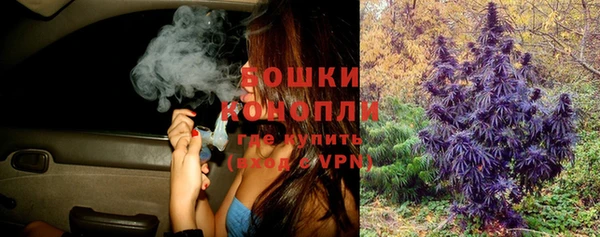 гашик Лиски