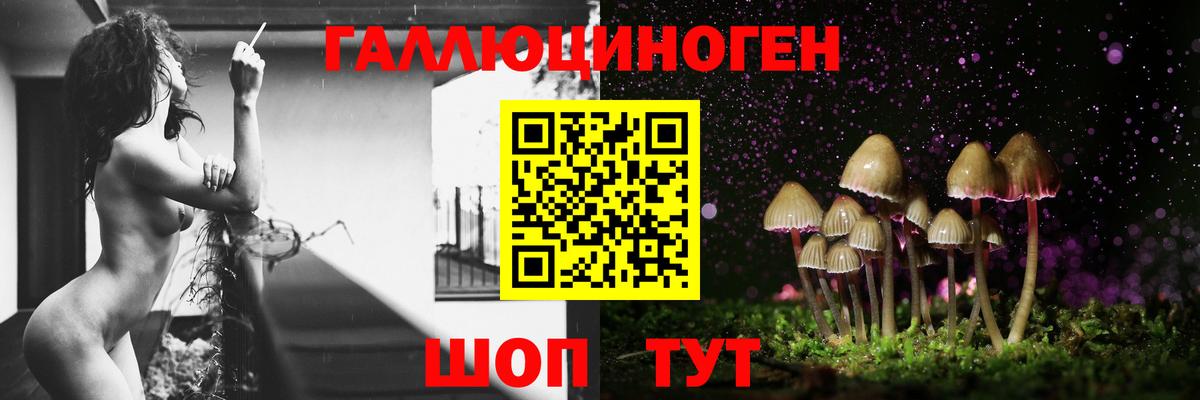 Псилоцибиновые грибы Psilocybine cubensis Грозный