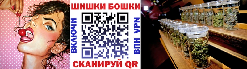 Канабис OG Kush  Грозный 
