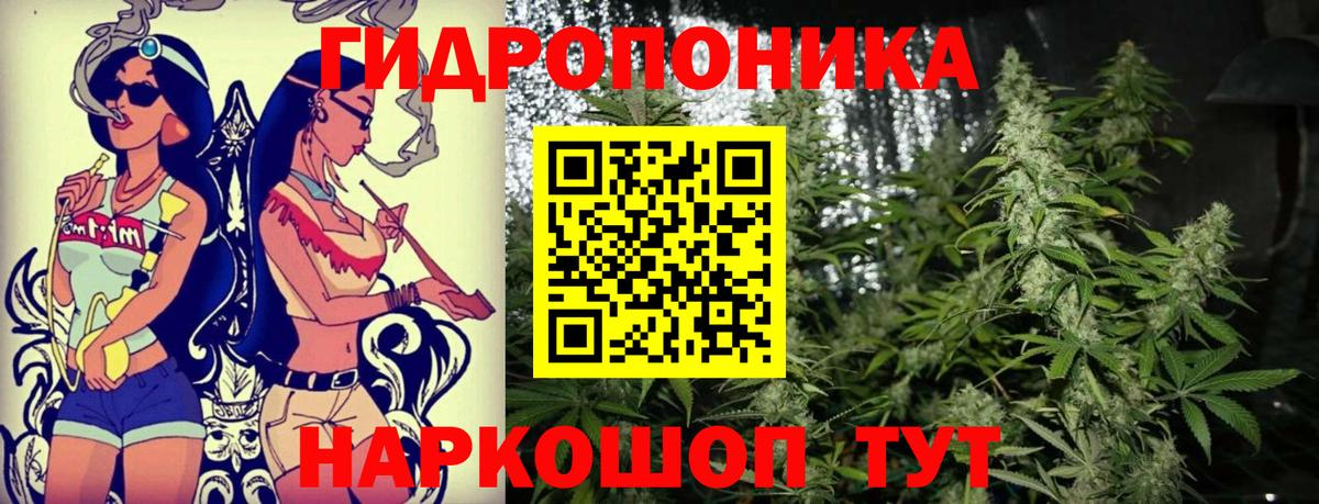 Каннабис сатива  Конопля гибрид  Вход с VPN  Грозный  Бошки Шишки Ganja 